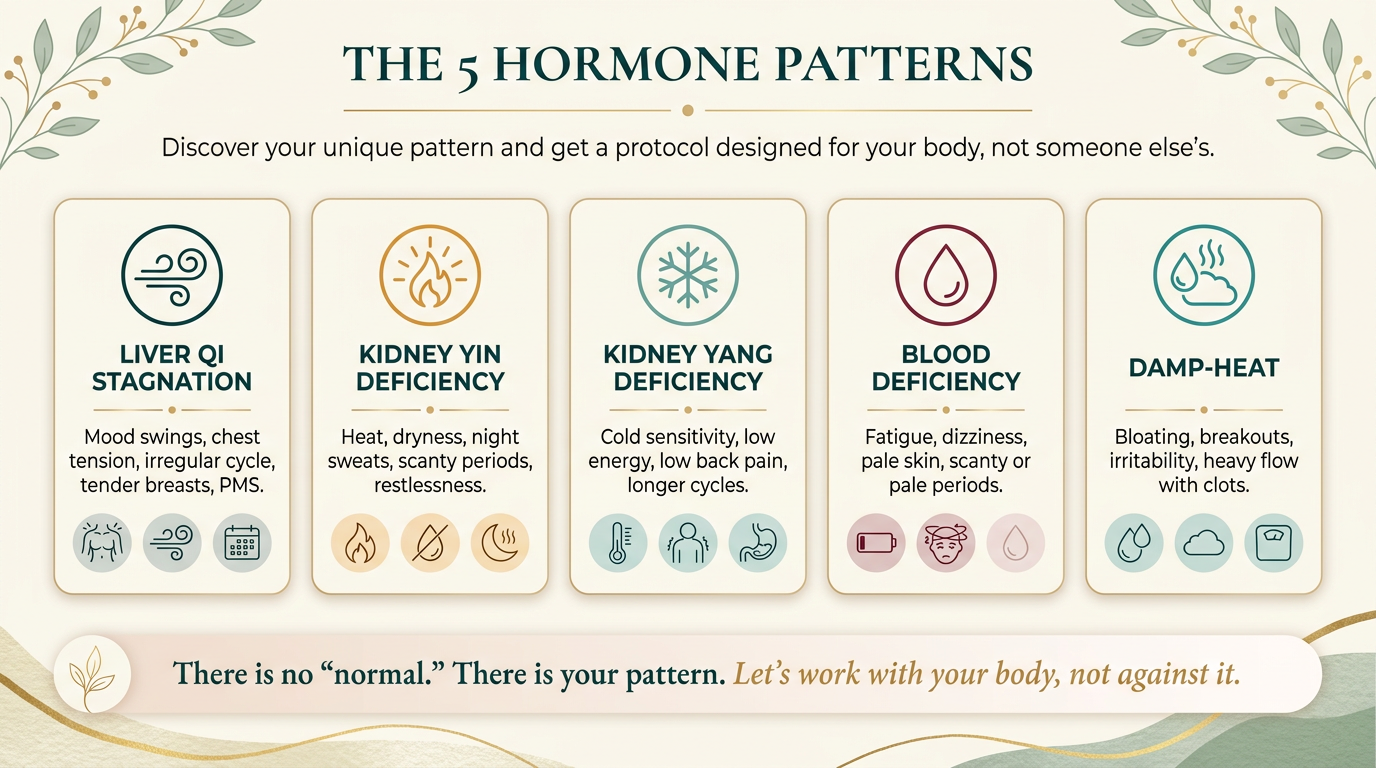 The 5 hormone patterns: Liver Qi Stagnation, Kidney Yin Deficiency, Kidney Yang Deficiency, Blood Deficiency, Damp-Heat