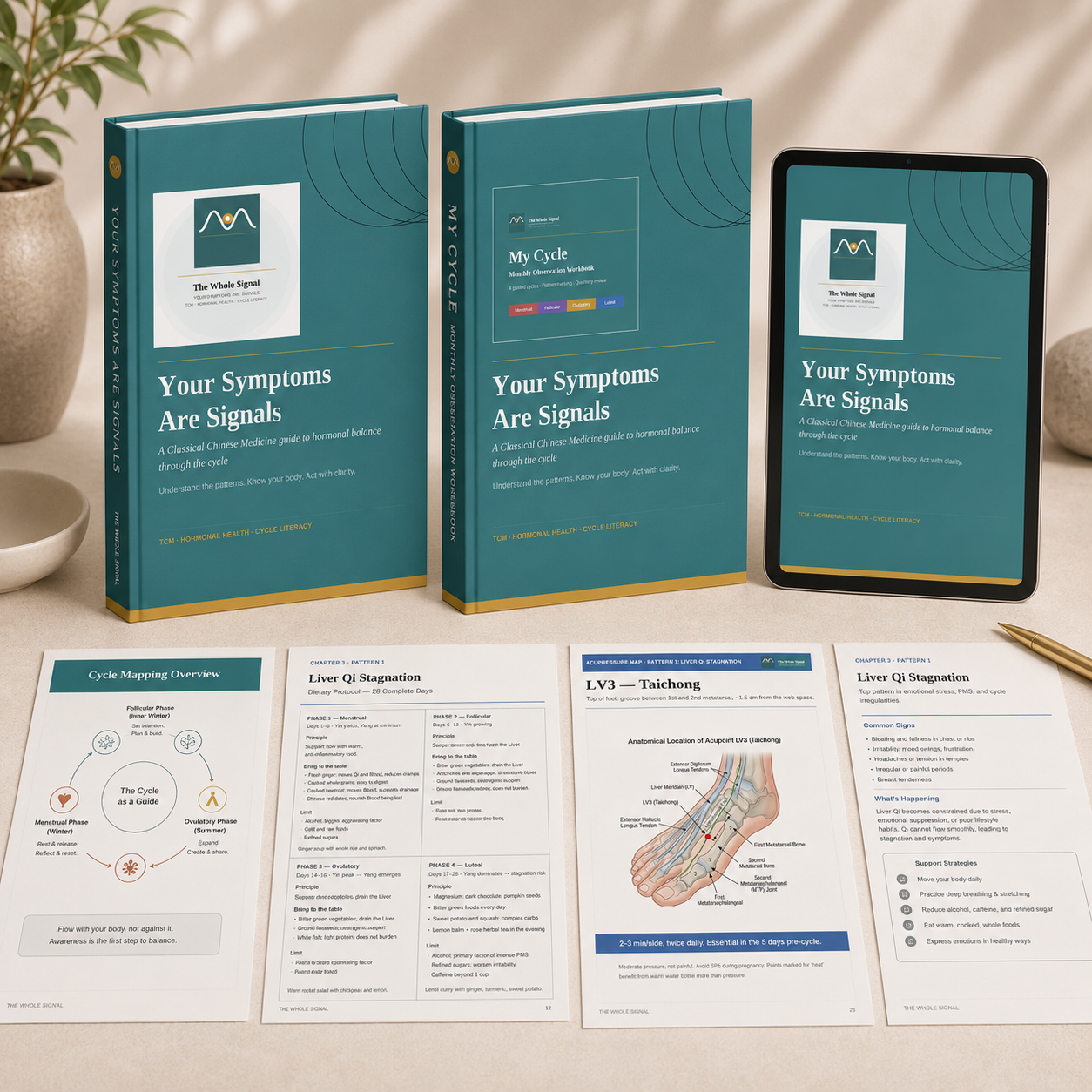 Complete bundle — Guide + observation Workbook