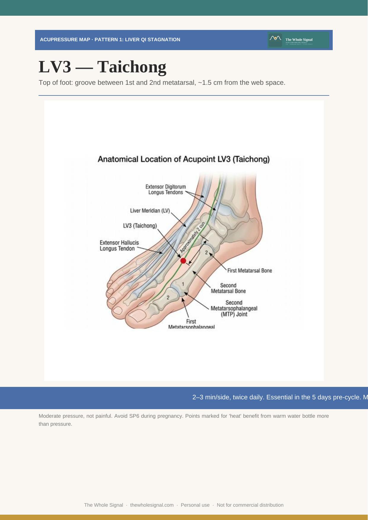 Anatomical map of the acupressure point LV3 Taichong